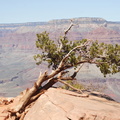 Grand Canyon Trip 2010 219